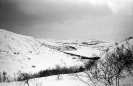 Север (5)