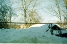 Город Горький 1957 год (1)